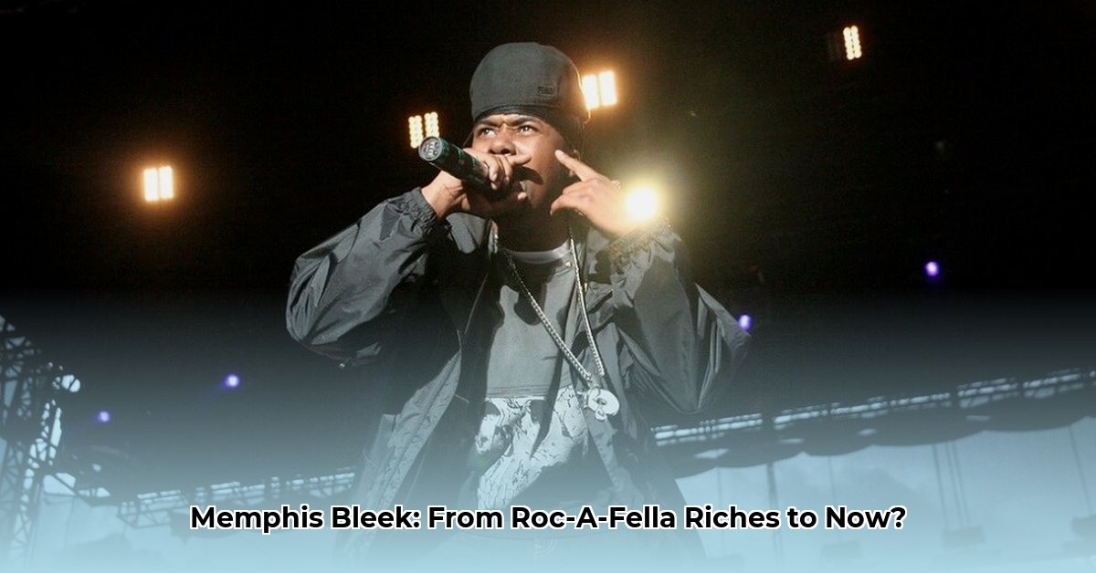 rapper-memphis-bleek-net-worth